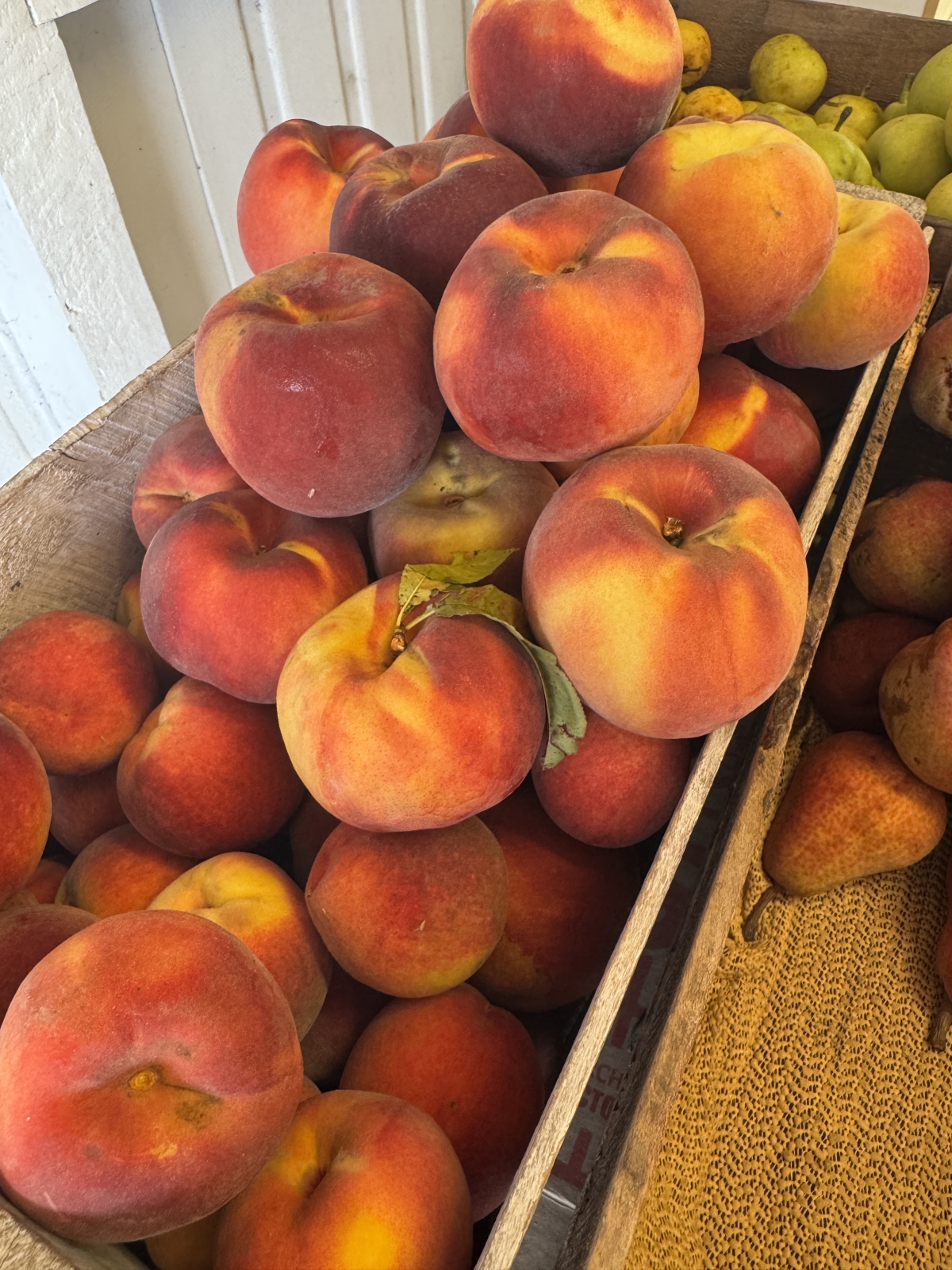 Fresh nectarines at Payne’s Orchards in Bacchus Marsh
